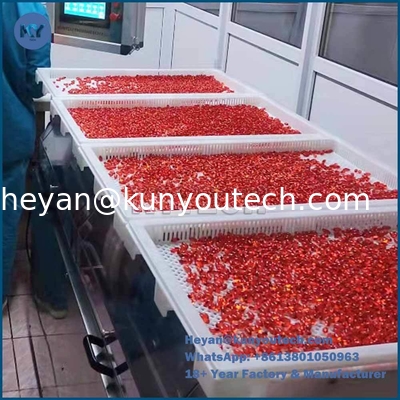 Quality Food Grade Plastic tray and trolly with size 750*550*45 for drying in discoult factory