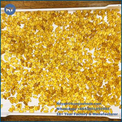 Quality Large Size 78*50*6cm Plastic Drying Trays Softgel Anti High Temprature factory